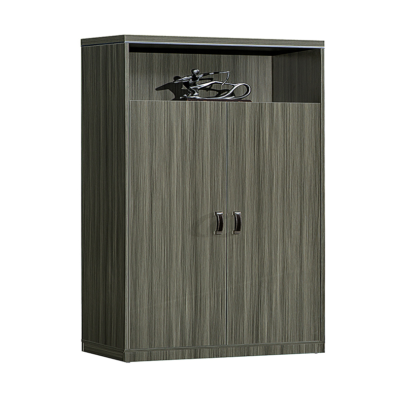 Customized professional small low cabinet data cabinet filing cabinets